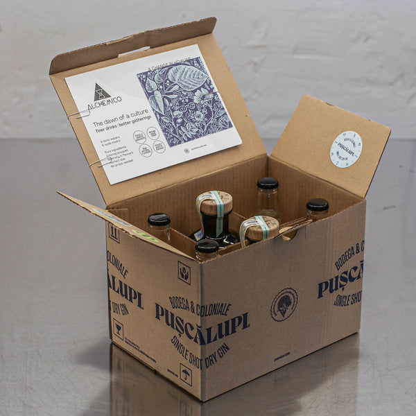 Nou - Pachet 2 sticle PUŞCĂLUPI Single Shot Dry Gin și 4 sticle ALCHEMICO Indian Tonic
