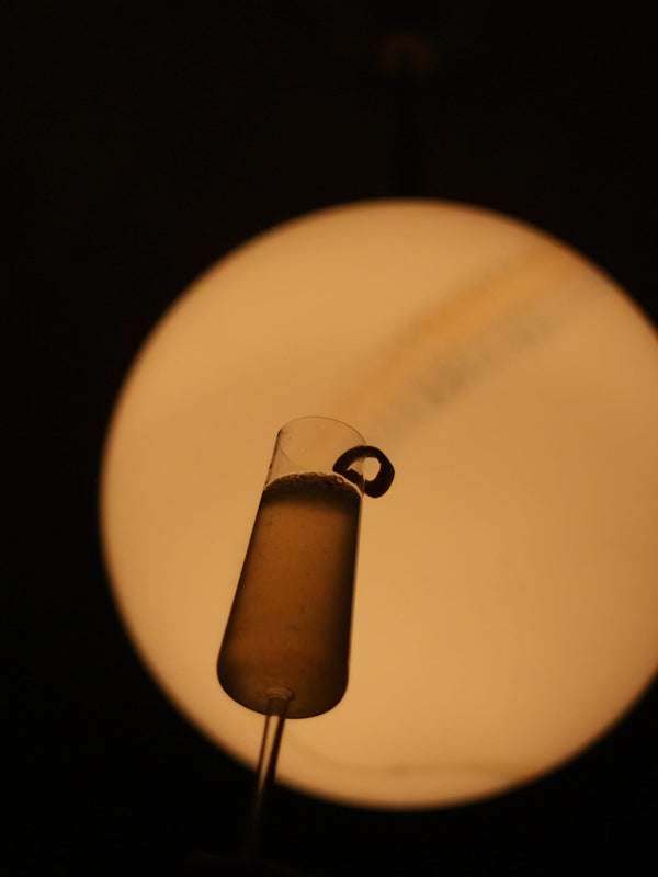 Pachet PUȘCĂLUPI X DARABONT