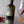 Pușcălupi X Zăganu Single Shot Dry Gin